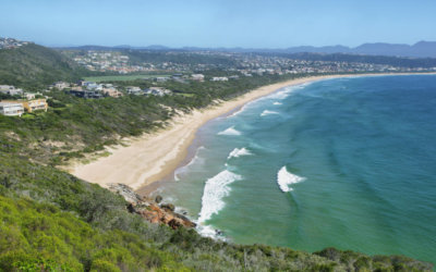The Ultimate Guide To Fun Things To Do In Plettenberg Bay